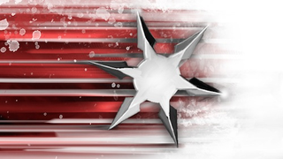 What Is a Ninja Star?